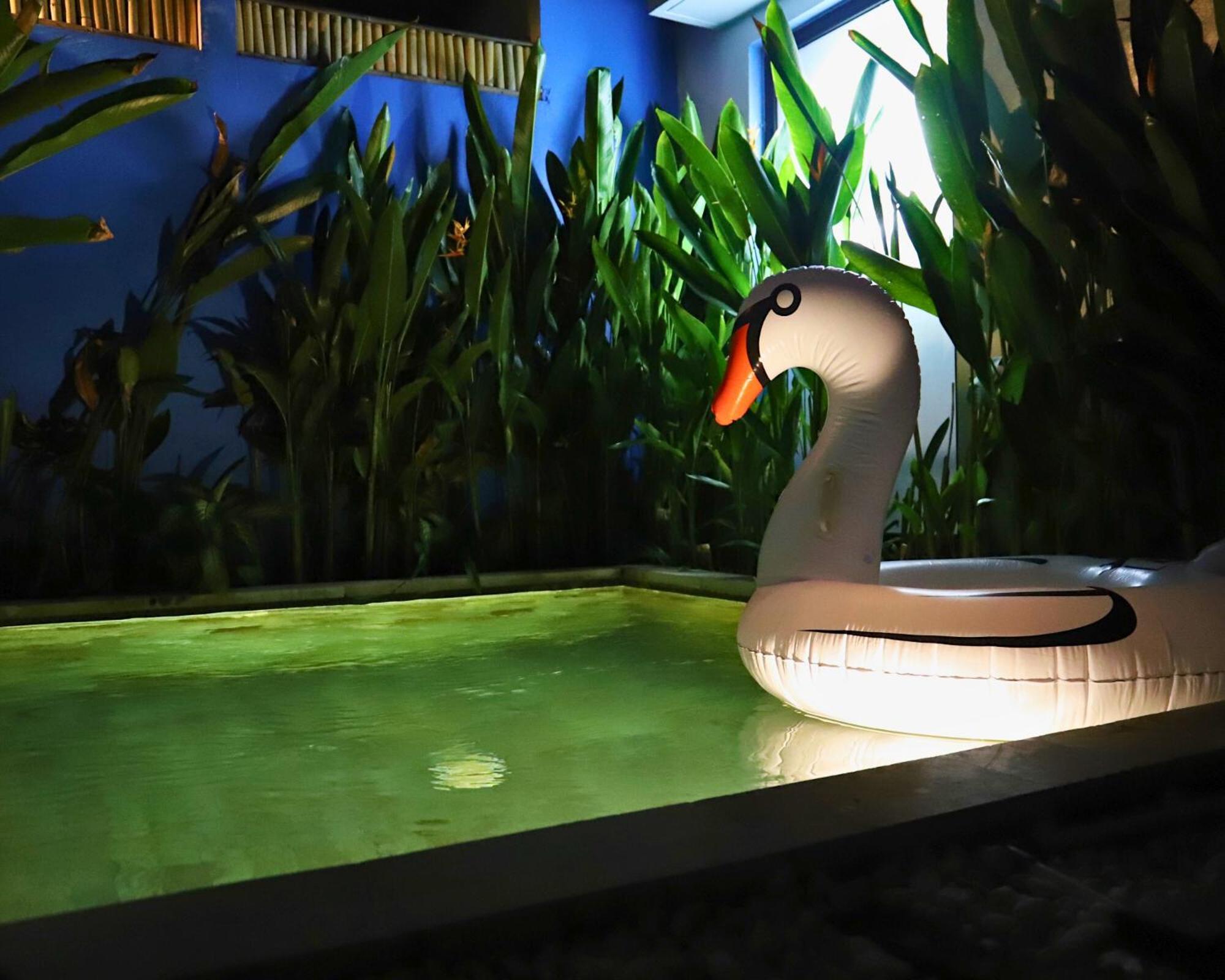 Peacock Private Pool Paradise Dalung  Экстерьер фото